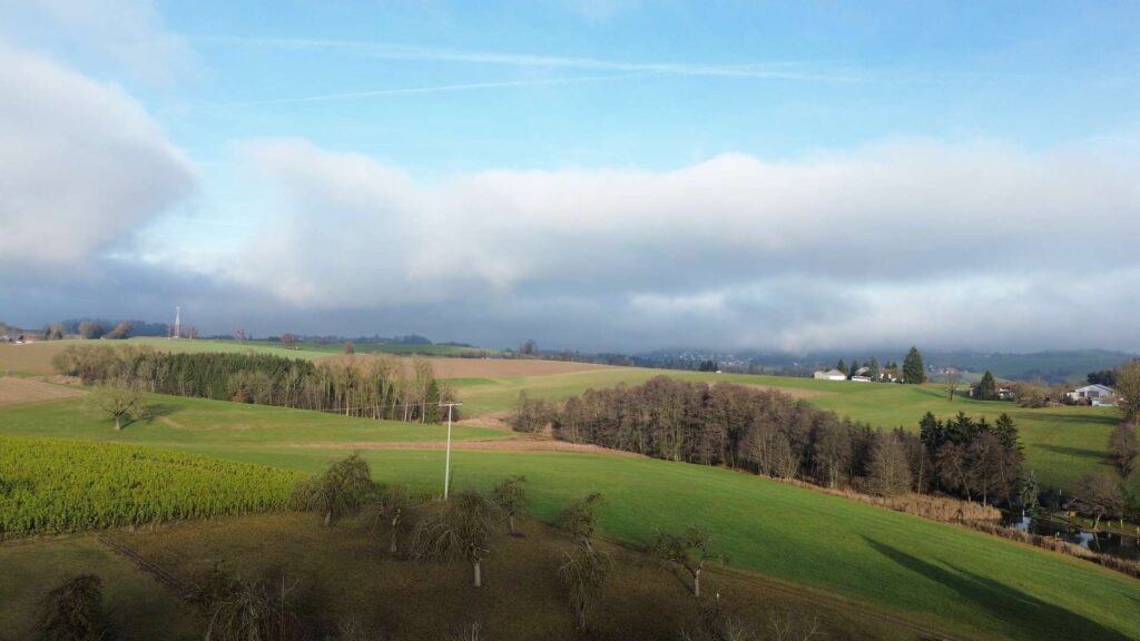 Luftbild Umgebung